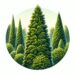 Thuja brabant - eine Pflanze mit hoher Widerstandsfähigkeit gegen Krankheiten
